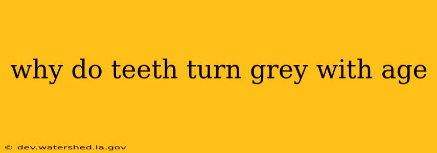why do teeth turn grey with age
