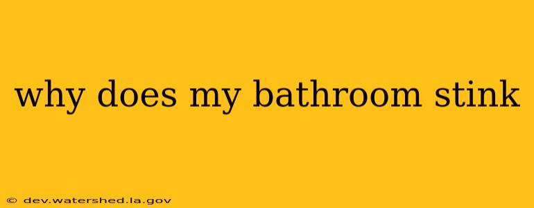 why does my bathroom stink