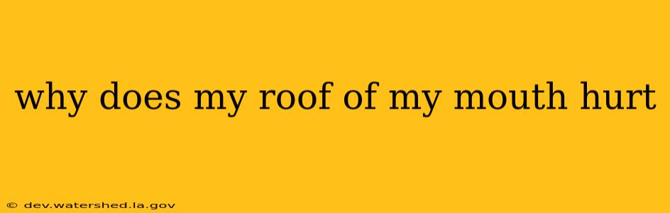 why does my roof of my mouth hurt
