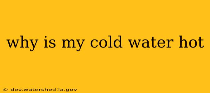 why is my cold water hot