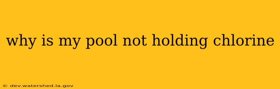 why is my pool not holding chlorine