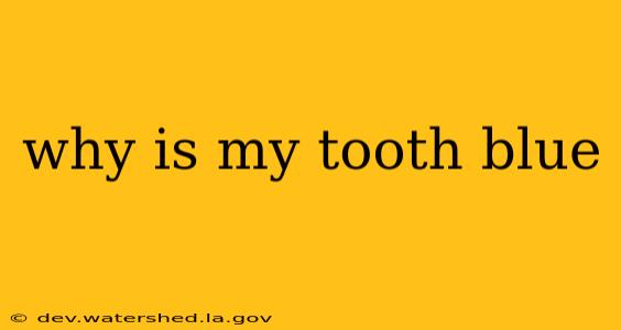 why is my tooth blue