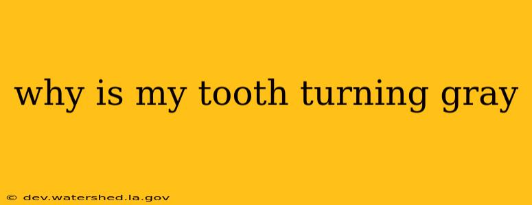 why is my tooth turning gray