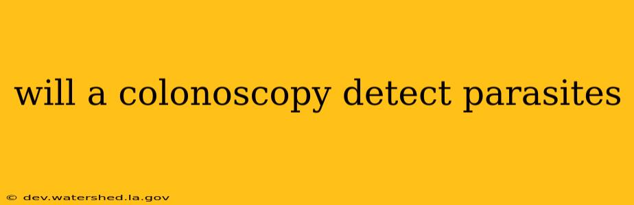 will a colonoscopy detect parasites
