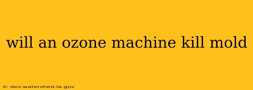 will an ozone machine kill mold