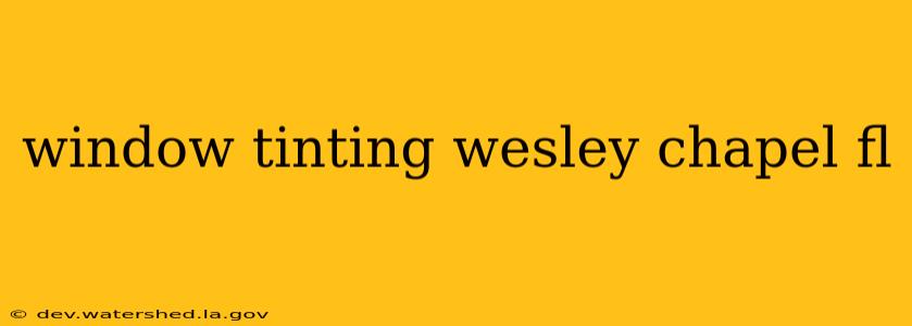 window tinting wesley chapel fl