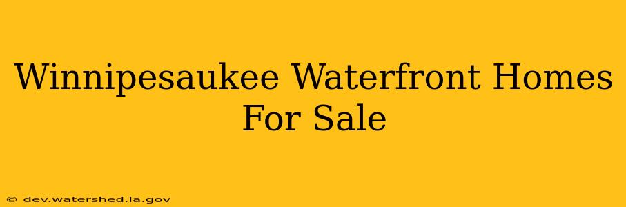 winnipesaukee waterfront homes for sale